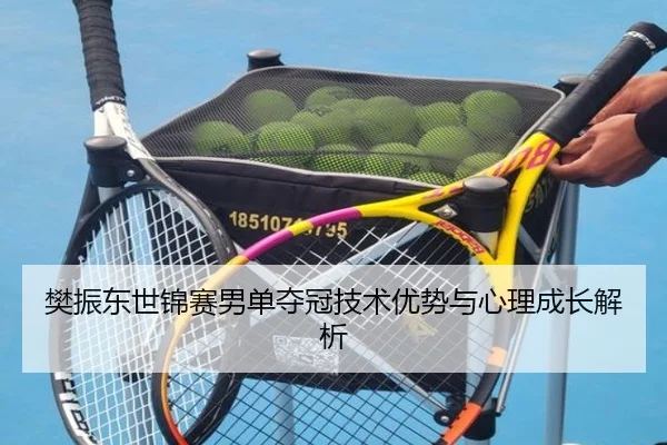 樊振东世锦赛男单夺冠技术优势与心理成长解析